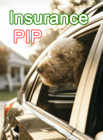 pip insurance